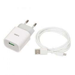 Ładowarka sieciowa iBOX C-41 USB 2A, 1 port USB, kabel microUSB