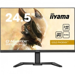 MONITOR IIYAMA LED 25